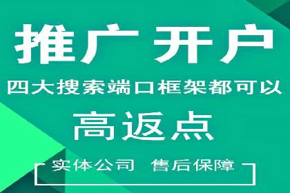 案例分析：SEM推广助力中小企业崛起