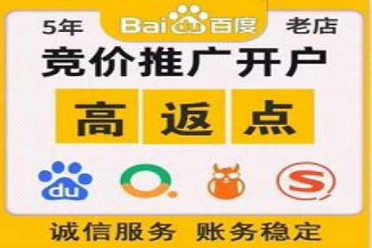 深入了解SEM代运营服务公司的策略与技巧